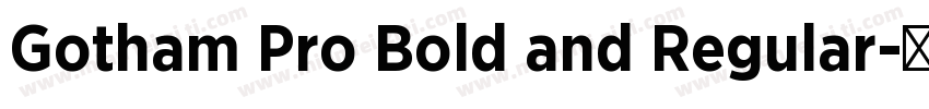 Gotham Pro Bold and Regular字体转换